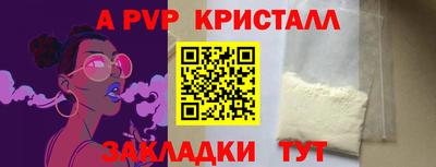 стаф Тара