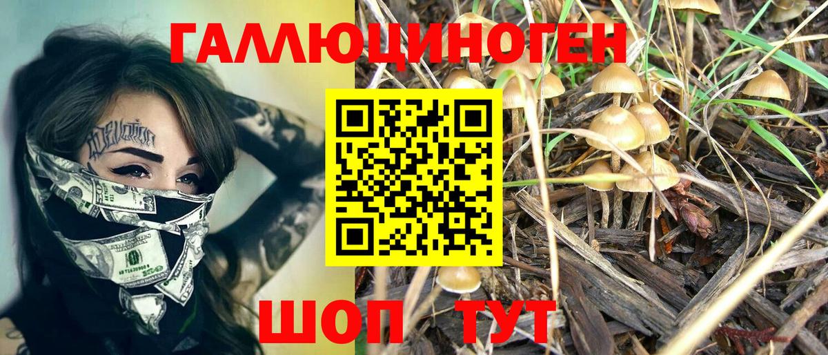 Галлюциногенные грибы Magic Shrooms Мытищи