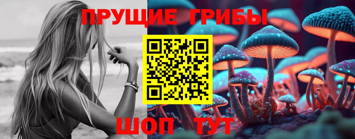 Галлюциногенные грибы ЛСД  что такое   Мытищи  Вход с VPN  Галлюциногенные грибы GOLDEN TEACHER 